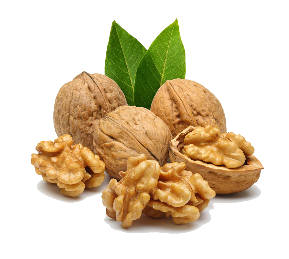 Walnut Kernel
